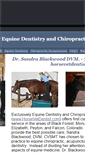 Mobile Screenshot of horsevetdentist.com